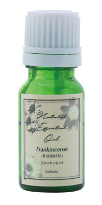 フランキンセンス(B.SERRATA）
