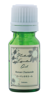 ローマンカモミール